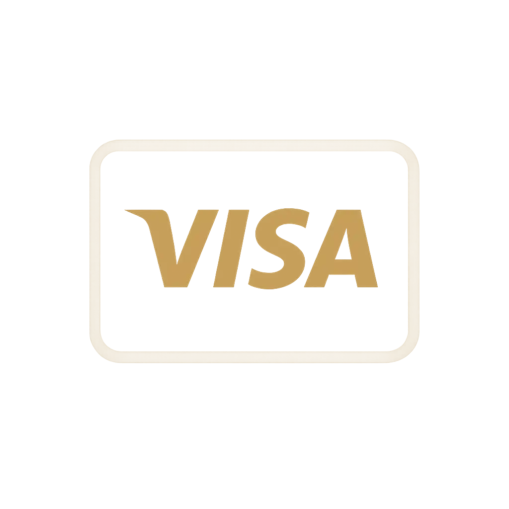 Visa payment icon